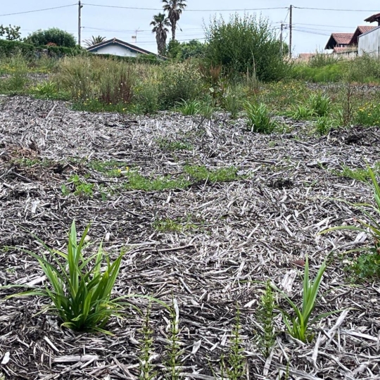  AIC IMMOBILIER : Terrain | BIDART (64210) | 0 m2 | 480 000 &euro; 