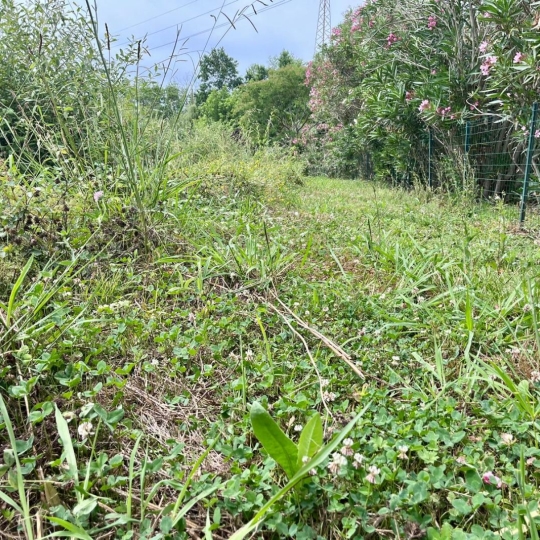  AIC IMMOBILIER : Terrain | BIDART (64210) | 0 m2 | 480 000 &euro; 