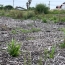  AIC IMMOBILIER : Terrain | BIDART (64210) | 0 m2 | 480 000 &euro; 