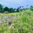  AIC IMMOBILIER : Terrain | BIDART (64210) | 0 m2 | 480 000 &euro; 