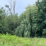  AIC IMMOBILIER : Terrain | BIDART (64210) | 0 m2 | 480 000 &euro; 
