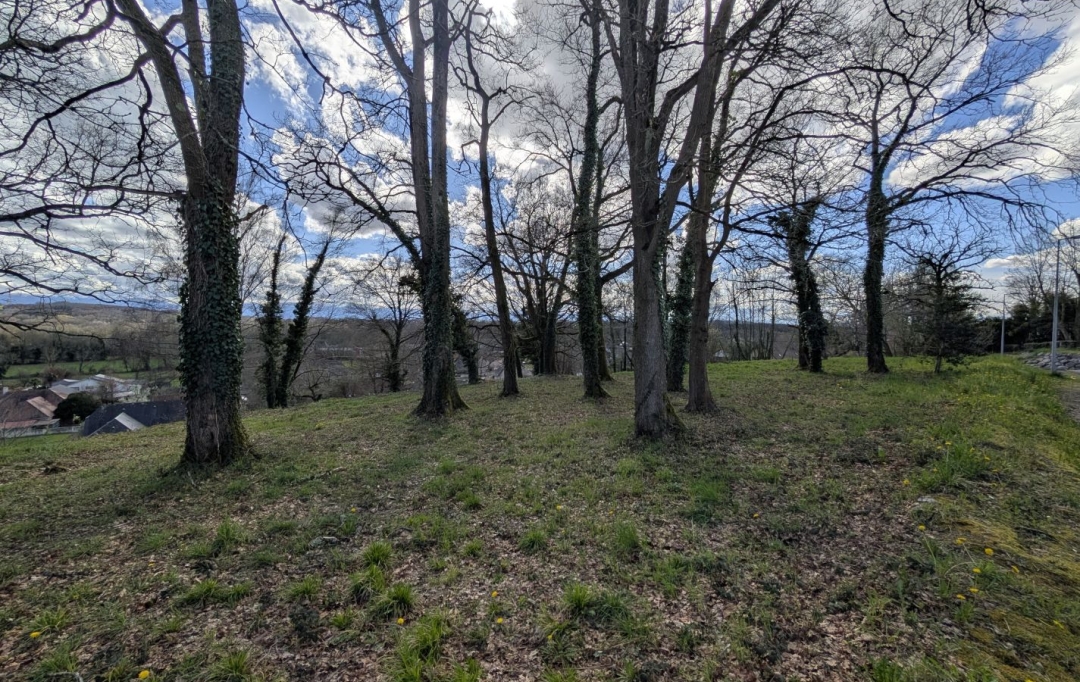 AIC IMMOBILIER : Terrain | LEE (64320) | 1 854 m2 | 242 000 &euro; 