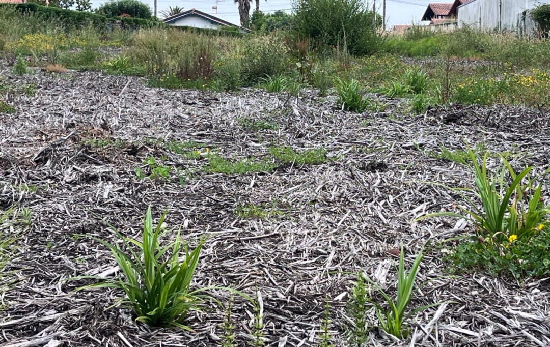 AIC IMMOBILIER : Terrain | BIDART (64210) | 0 m2 | 480 000 &euro; 