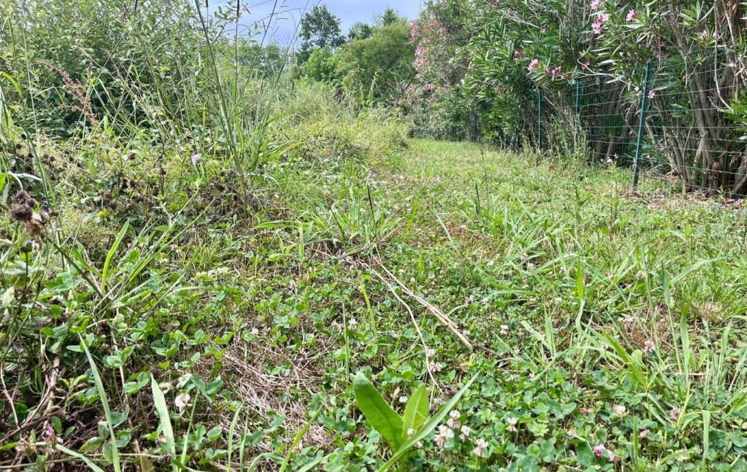 AIC IMMOBILIER : Terrain | BIDART (64210) | 0 m2 | 480 000 &euro; 