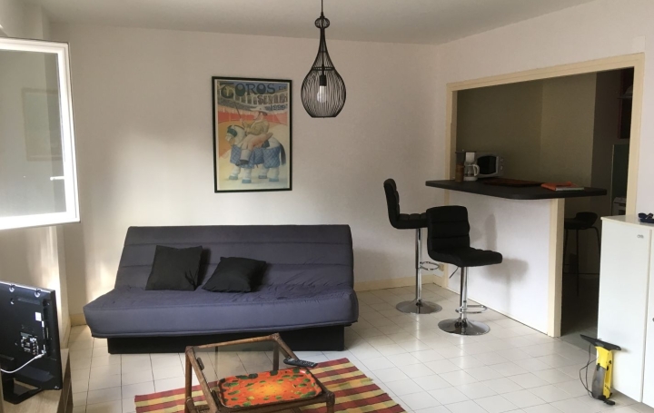 Appartement P1 PAU 43 m2 650 € Appartement P1 PAU 43 m2 650 €