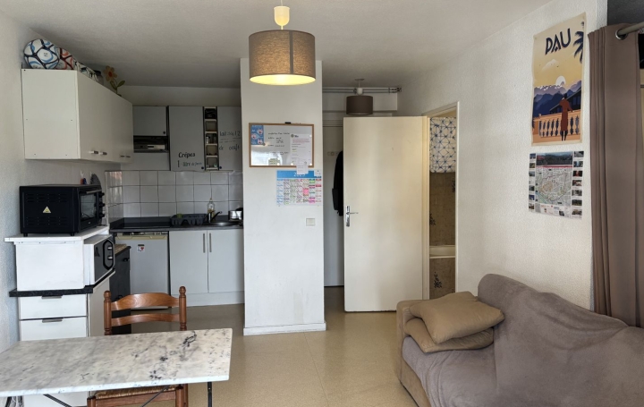 Appartement P1 PAU 31 m2 82 000 € Appartement P1 PAU 31 m2 82 000 €